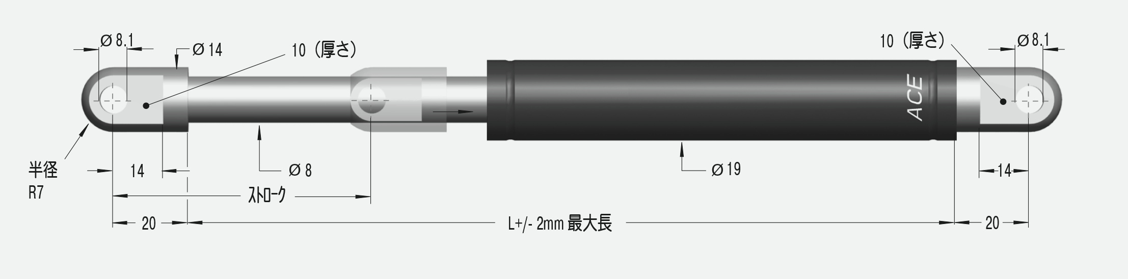 GS-19-100